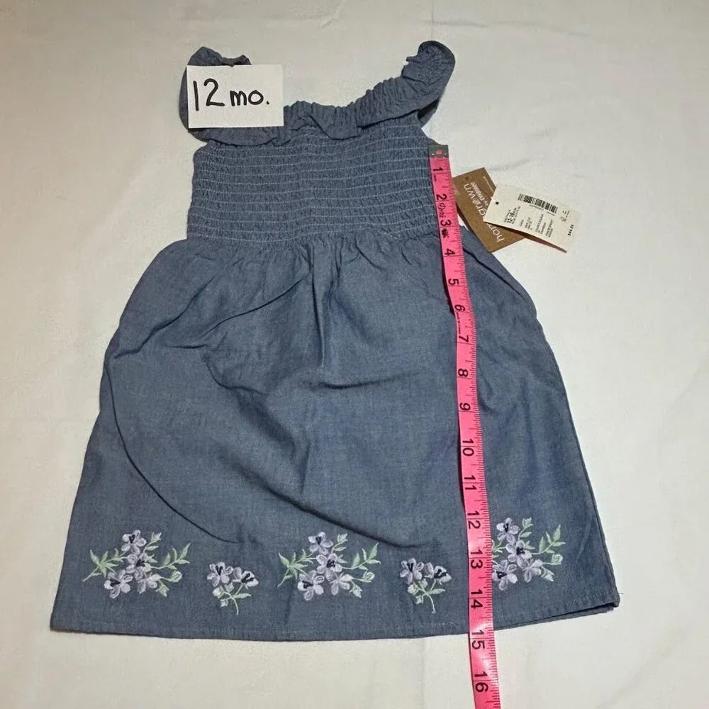 Gymboree Baby Girls 12-18 Months Embroidered Floral Chambray Flutter Dress NWT